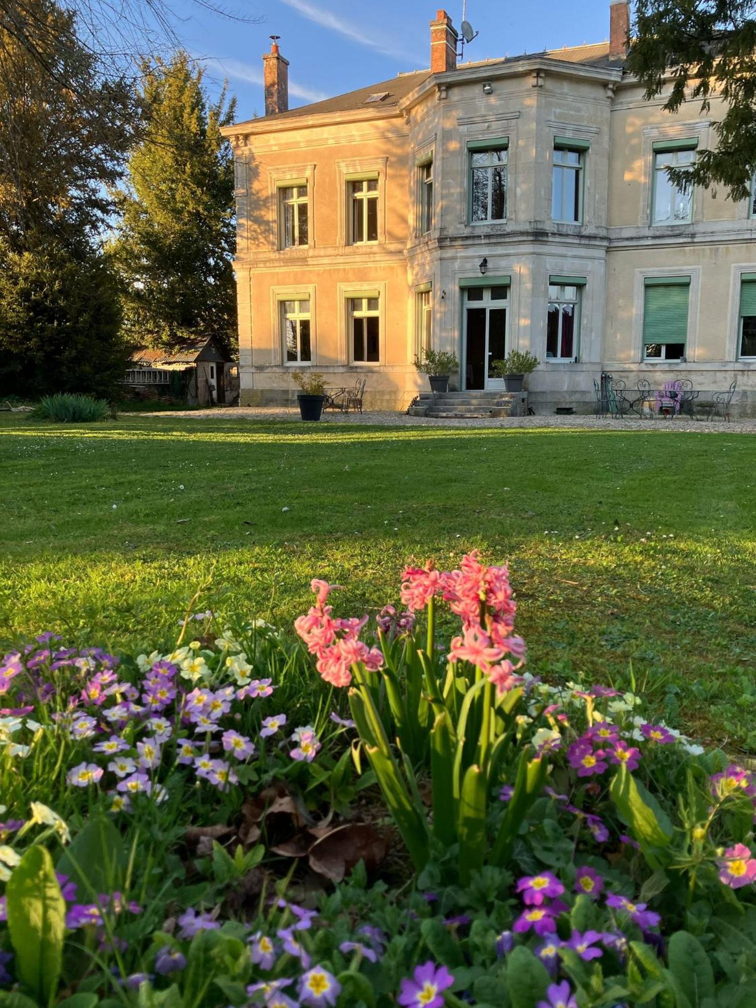 Chateau De Pougy 外观 照片